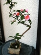 szk080317 018.01.jpg