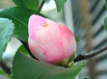 szk080317 023.01.jpg