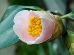 szk080317 031.01.jpg