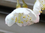 szk080318 005.01.jpg