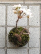 szk080318 016.01.jpg