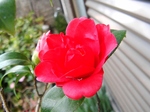 szk080321 013.01.jpg