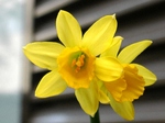 szk080321 033.01.jpg