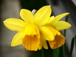 szk080321 038.01.jpg