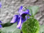 szk080322 016.01.jpg