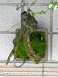szk080323 018.01.jpg