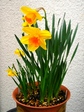 szk080323 019.01.jpg
