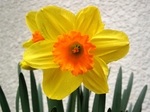 szk080323 021.01.jpg
