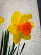 szk080323 022.01.jpg