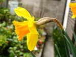 szk080323 023.01.jpg