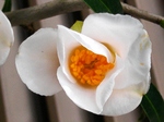 szk080323 027.01.jpg
