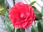 szk080325 010.01.jpg