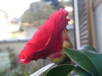 szk080325 011.01.jpg