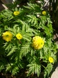 szk080325 031.01.jpg