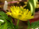 szk080325 033.01.jpg