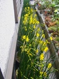 szk080326 002.01.jpg