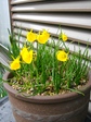szk080326 003.01.jpg