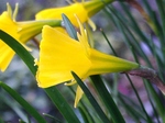 szk080326 005.01.jpg