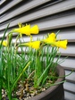 szk080326 007.01.jpg