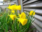 szk080326 008.01.jpg