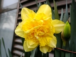 szk080326 010.01.jpg