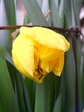 szk080326 012.01.jpg