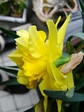 szk080326 014.01.jpg