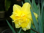 szk080326 016.01.jpg