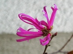 szk080328 002.01.jpg