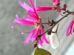 szk080328 005.01.jpg