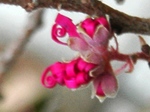 szk080328 007.01.jpg