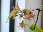 szk080328 009.01.jpg