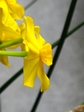 szk080329 002.01.jpg