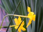 szk080329 003.01.jpg