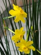 szk080329 007.01.jpg