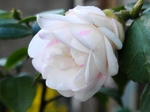 szk080402 012.01.jpg