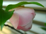 szk080404 003.01.jpg