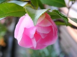 szk080404 004.01.jpg