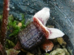 szk080404 015.01.jpg
