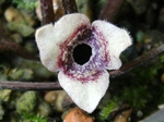 szk080404 018.01.jpg