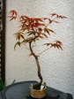 szk080406 017.01.jpg