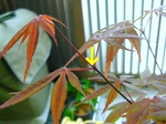 szk080406 018.01.jpg