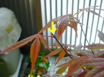 szk080406 020.01.jpg