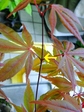 szk080406 021.01.jpg