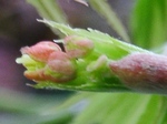 szk080406 036.01.jpg