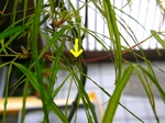 szk080406 042.01.jpg