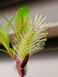 szk080407 001.01.jpg