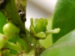 szk080407 009.01.jpg