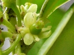 szk080407 010.01.jpg