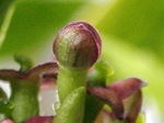 szk080407 017.01.jpg